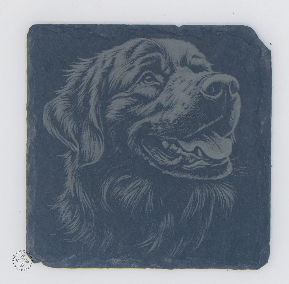 Animal Coasters