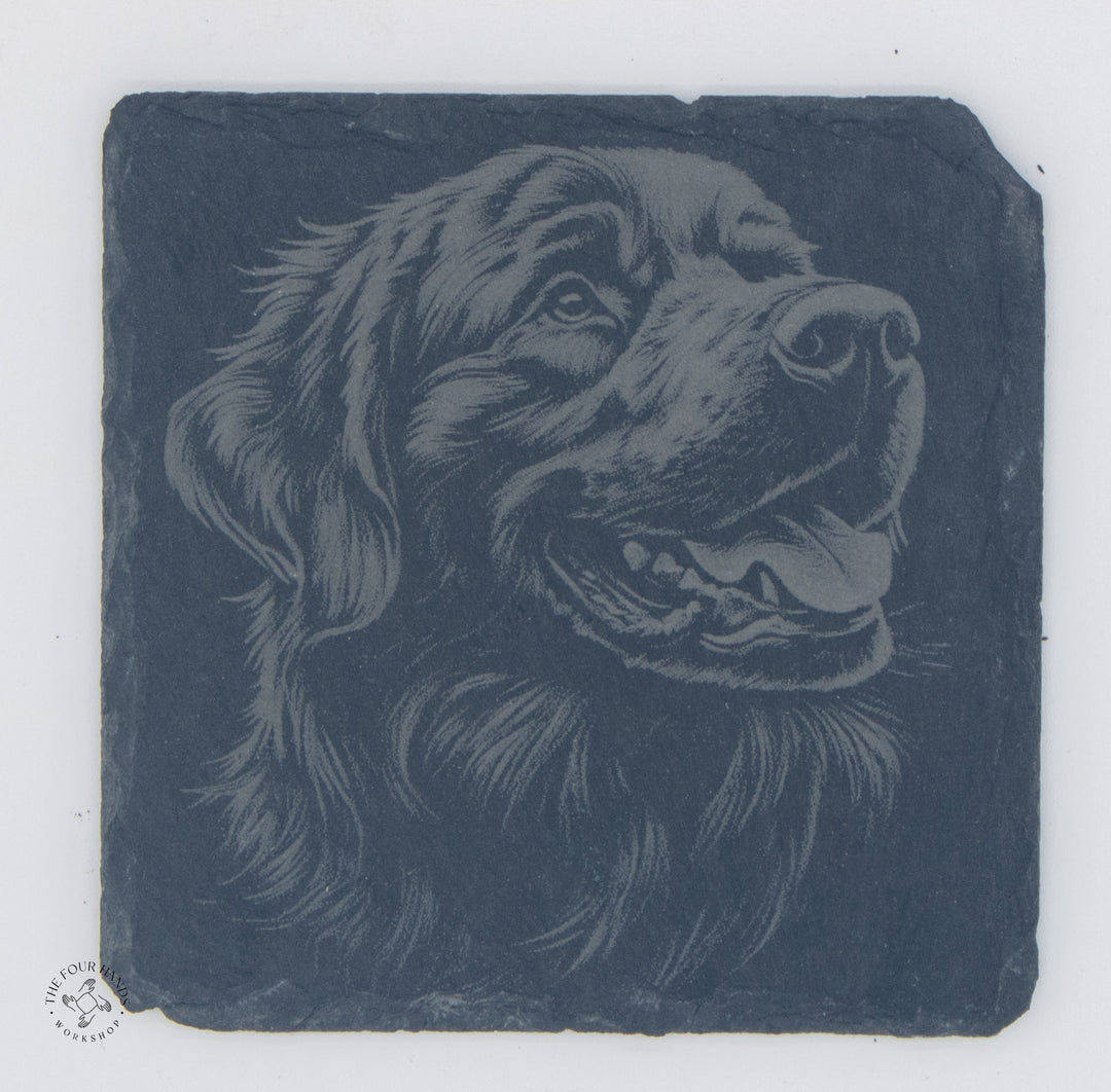Animal Coasters