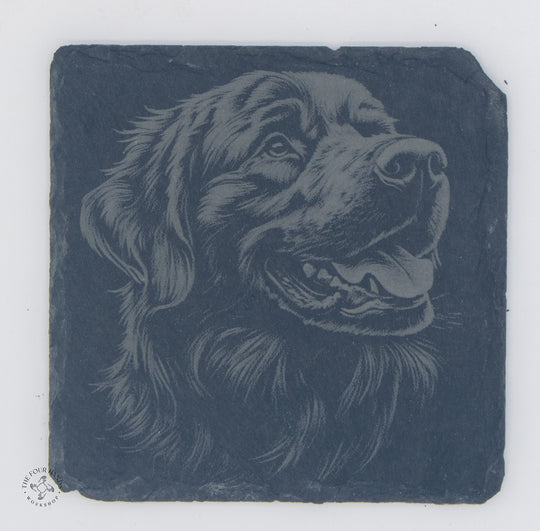 Animal Coasters
