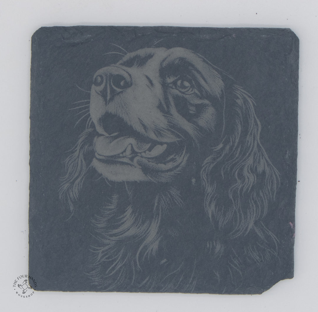 Animal Coasters