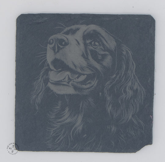 Animal Coasters