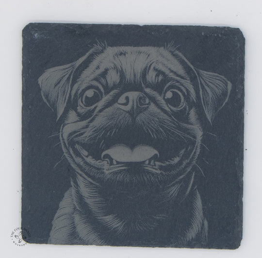Animal Coasters