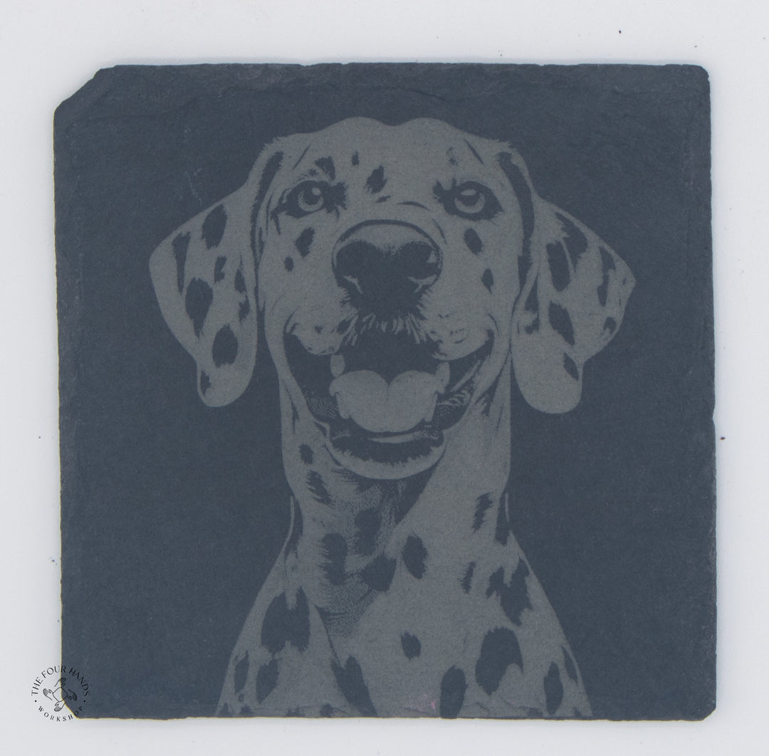 Animal Coasters