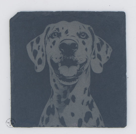 Animal Coasters