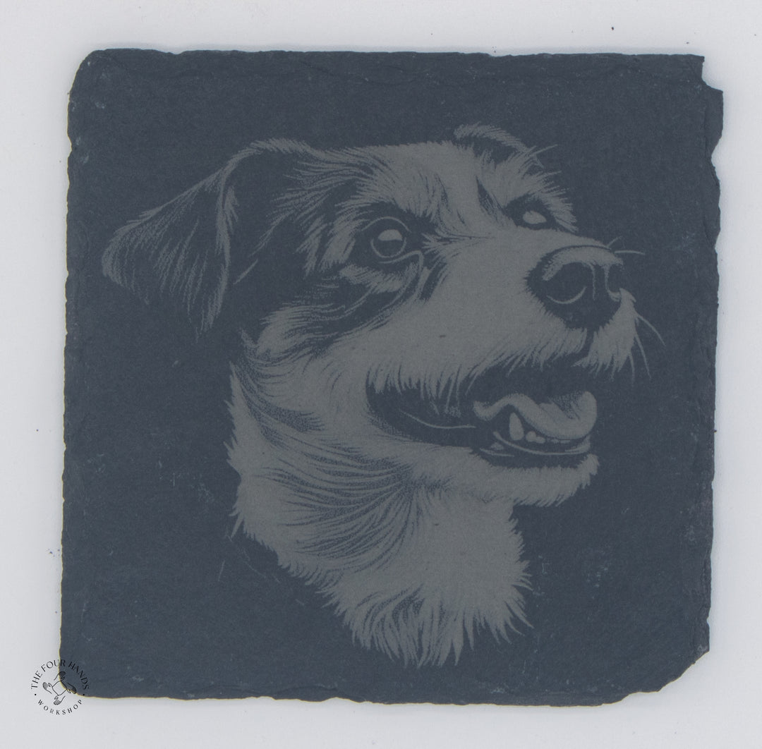 Animal Coasters
