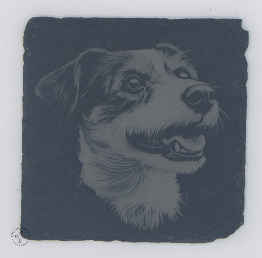 Animal Coasters