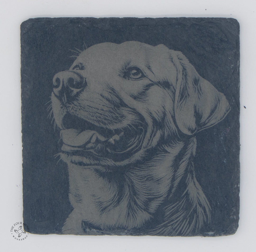 Animal Coasters