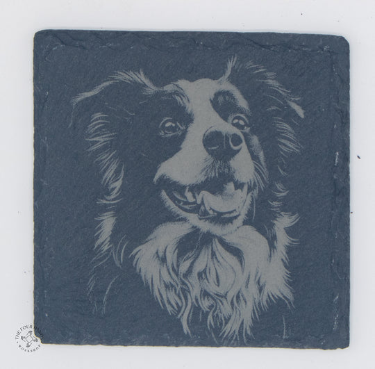 Animal Coasters