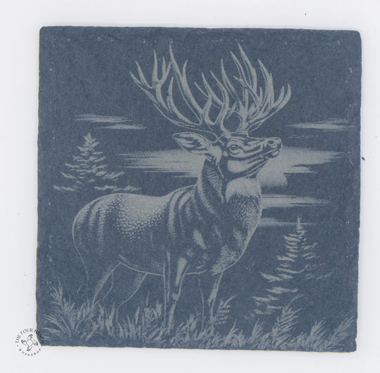 Animal Coasters
