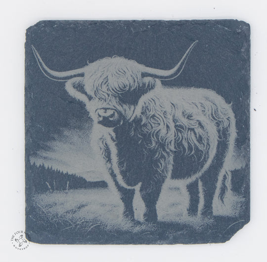 Animal Coasters